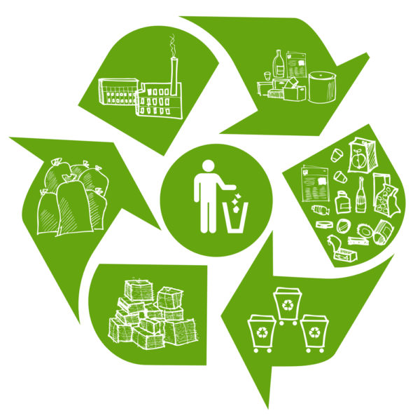 Environmental consulting - paper and plastic waste management