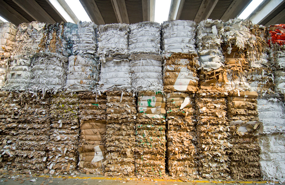 waste paper market